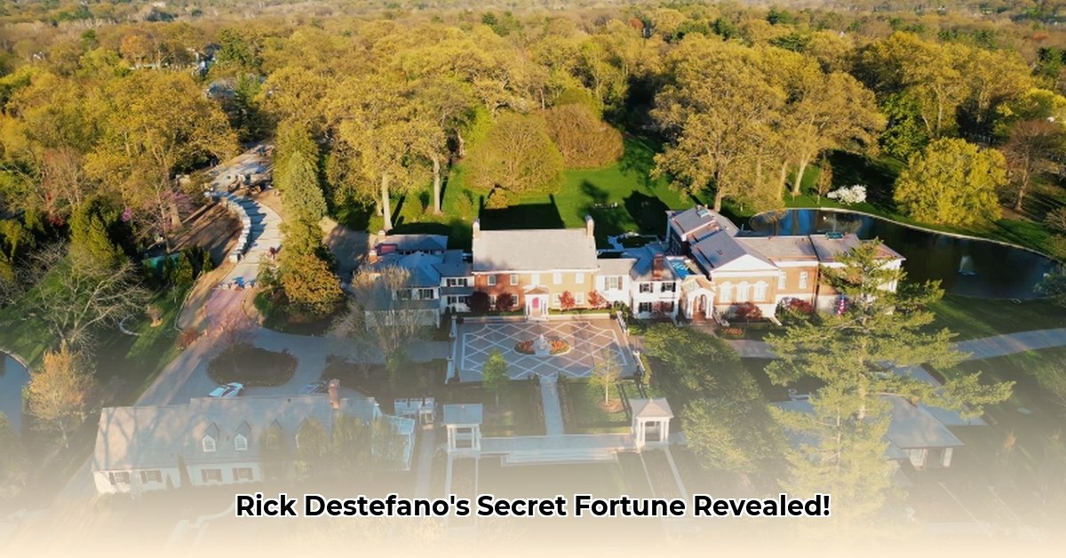 rick-destefane-net-worth